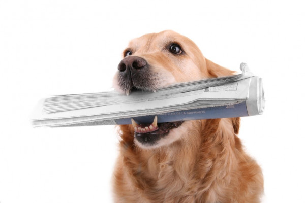 ЕС перевез на Украину ТЭС из Литвы