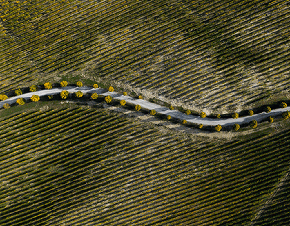 Трамп дал указание стереть с лица Земли Иран в случае попытки его убийства